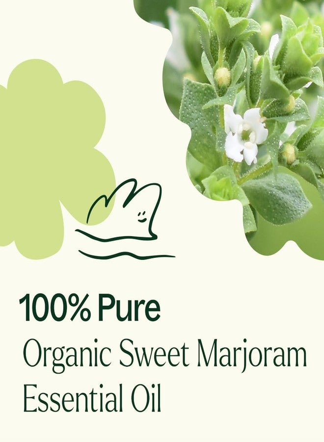 بلانت ثيرابي زيت المردقوش العطري العضوي من بلانت ثيرابي، 10 مل (1/3 أونصة)، نقي 100%، غير مخفف، درجة علاجية - Image 5
